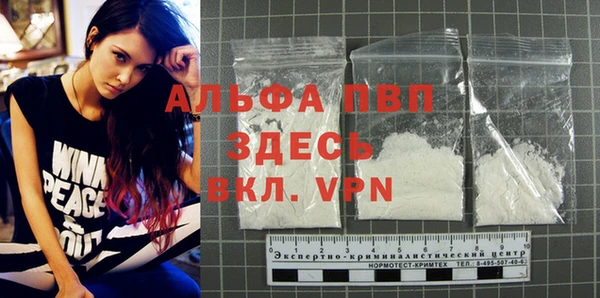экстази Бородино