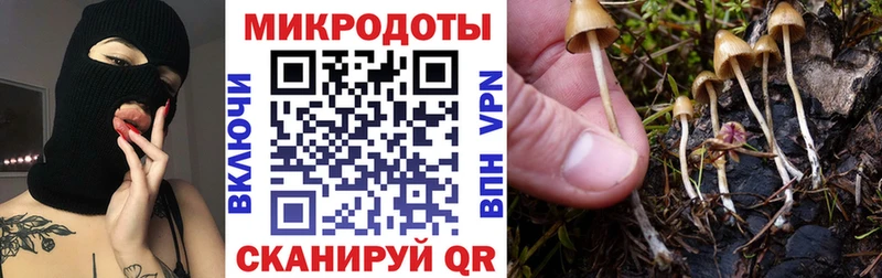 Псилоцибиновые грибы GOLDEN TEACHER Новомичуринск